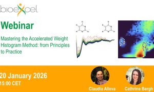 Mastering the Accelerated Weight Histogram Method