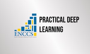 Practical Deep Learning