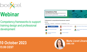 Competency frameworks to support training design and professional development