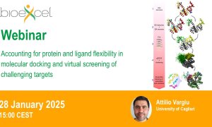 Accounting for Protein and Ligand Flexibility in Molecular Docking and Virtual Screening of Challenging Targets