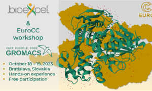 BioExcel workshop on GROMACS and HADDOCK