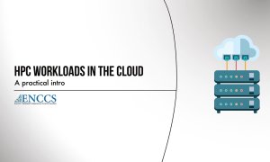 HPC Workloads in the Cloud