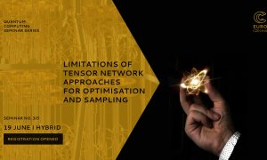Limitations of Tensor Network Approaches for Optimisation and Sampling