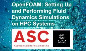 OpenFOAM: Setting Up and Performing Fluid Dynamics Simulations on HPC Systems
