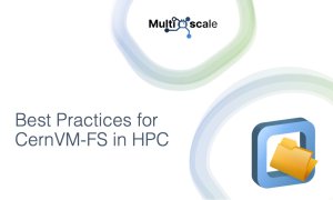 Best Practices for CernVM-FS in HPC