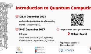 Introduction to Quantum Computing