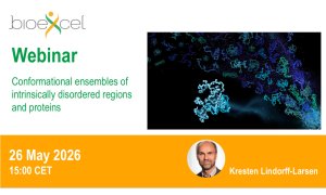 Conformational Ensembles of Intrinsically Disordered Regions and Proteins