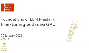 Fine-tuning with one GPU